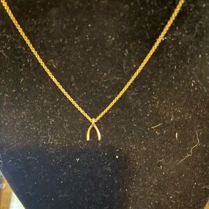 14kt GF Wishbone Gold Plated Necklace Dainty Pendant